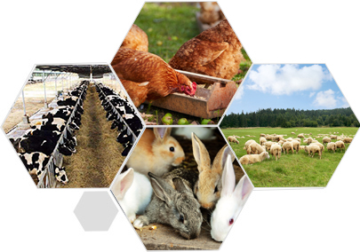 完善服務(wù)體系 合作無(wú)憂